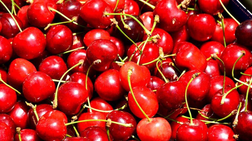 mavi3 turkish cherry